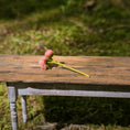 Load image into Gallery viewer, Gosia Suchodolska IGMA Artisan Miniature Pretty Pink Triple Stem Rose Arrangement Magpie Exclusive
