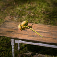 Load image into Gallery viewer, Gosia Suchodolska IGMA Artisan Miniature Pink & Yellow Triple Stem Rose Arrangement Magpie Exclusive
