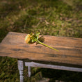 Load image into Gallery viewer, Gosia Suchodolska IGMA Artisan Miniature Rich Yellow Triple Stem Rose Arrangement Magpie Exclusive
