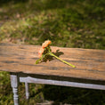 Load image into Gallery viewer, Gosia Suchodolska IGMA Artisan Miniature Peach & Yellow Triple Stem Rose Arrangement Magpie Exclusive
