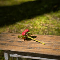 Load image into Gallery viewer, Gosia Suchodolska IGMA Artisan Miniature Red Triple Stem Rose Arrangement Magpie Exclusive
