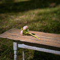 Load image into Gallery viewer, Gosia Suchodolska IGMA Artisan Miniature Blush Pink Triple Stem Rose Arrangement Magpie Exclusive
