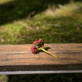 Load image into Gallery viewer, Gosia Suchodolska IGMA Artisan Miniature Ruby Red Triple Stem Rose Arrangement Magpie Exclusive (Copy)
