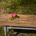 Load image into Gallery viewer, Gosia Suchodolska IGMA Artisan Miniature Fuchsia Red Triple Stem Rose Arrangement Magpie Exclusive
