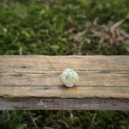 Gosia Suchodolska IGMA Artisan Miniature Medium White Rose Stem Magpie Exclusive