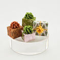 Load image into Gallery viewer, Decorative gift boxes with ribbons on a white surface
