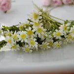 Anna Wybranowska IGMA Artisan Miniature Set of 5 Daisy Stems Magpie Exclusive