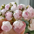 Load image into Gallery viewer, Gosia Suchodolska IGMA Artisan Miniature White Peony Bud Stem Magpie Exclusive (Copy)
