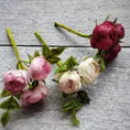 Load image into Gallery viewer, Gosia Suchodolska IGMA Artisan Miniature Ruby Red Triple Stem Rose Arrangement Magpie Exclusive (Copy)
