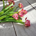 Load image into Gallery viewer, Gosia Suchodolska IGMA Artisan Miniature Single Painted Tulip Stem Magpie Exclusive (Copy)
