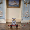 Load image into Gallery viewer, Marie-Pierre Gratias MP Creations Pull Toy Skateboard Vignette with Teddy Bear (removable)
