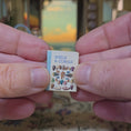 Load and play video in Gallery viewer, Miniature Shells & Corals Book with Shell Basket and Glass Specimen Jar Set
