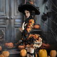 Load and play video in Gallery viewer, Halloween Witch One-of-a-Kind Porcelain Doll by Dana Burton for Magpie Miniatures
