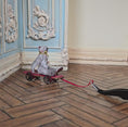 Load and play video in Gallery viewer, Marie-Pierre Gratias MP Creations Pull Toy Skateboard Vignette with Teddy Bear (removable)
